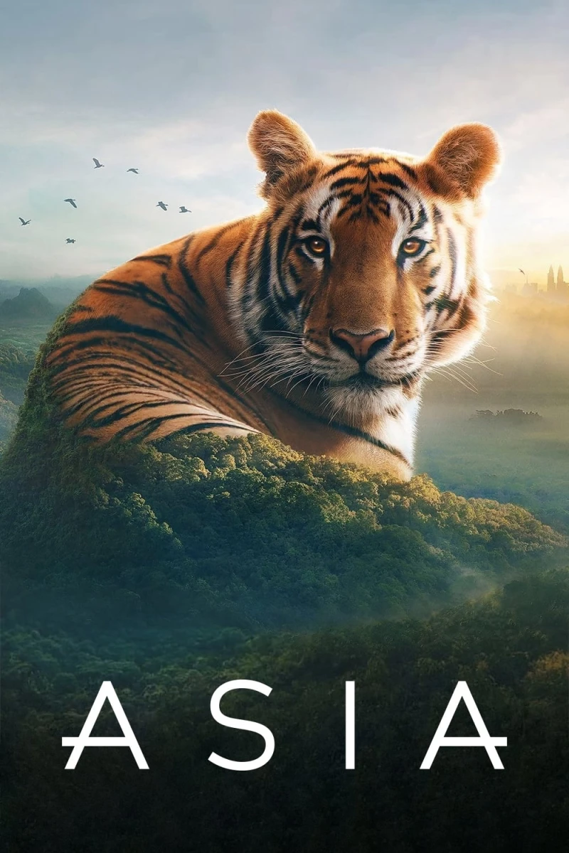 Asia - Asia (2024) Asia - Asia (2024)