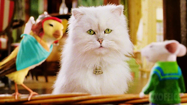 Đại Hiệp Triển Chiêu - Cat and Mouse