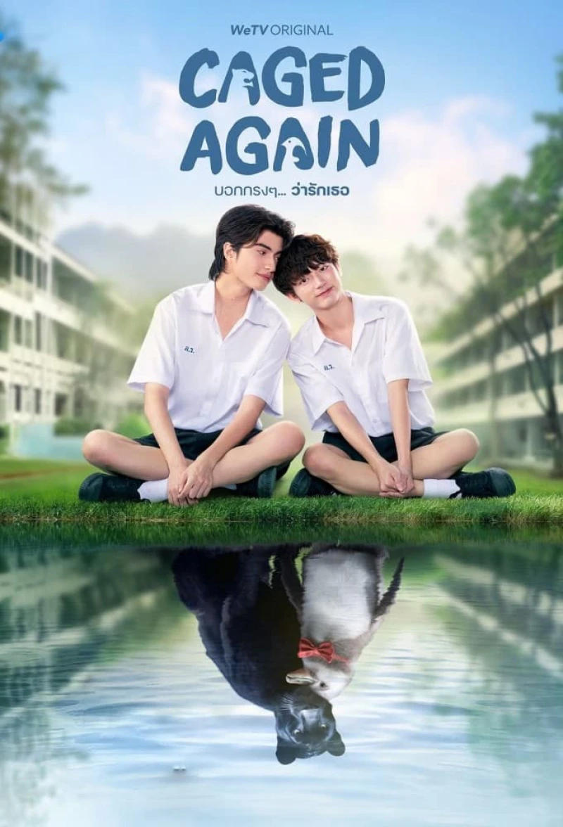 Dũng Cảm Nói Yêu Người - Caged Again (2024) Dũng Cảm Nói Yêu Người - Caged Again (2024)