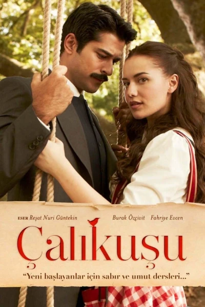Tiếng Hót Chim Hồng Tước - Calikusu (2013) Tiếng Hót Chim Hồng Tước - Calikusu (2013)