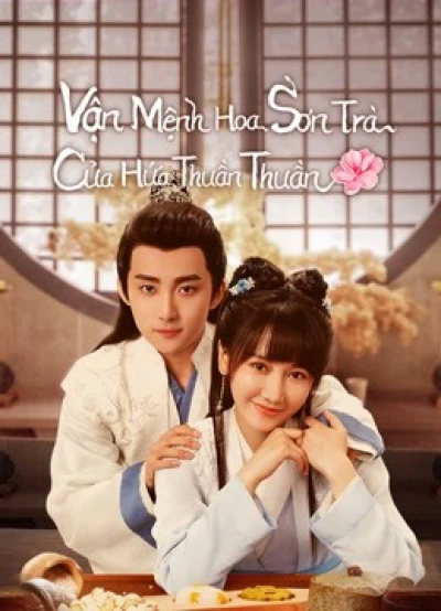 Vận Mệnh Hoa Sơn Trà Của Hứa Thuần Thuần - A Camellia Romance (2021) Vận Mệnh Hoa Sơn Trà Của Hứa Thuần Thuần - A Camellia Romance (2021)