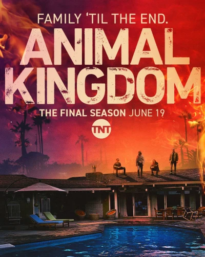 Vương quốc động vật (Phần 6) - Animal Kingdom (Season 6) (2022) Vương quốc động vật (Phần 6) - Animal Kingdom (Season 6) (2022)
