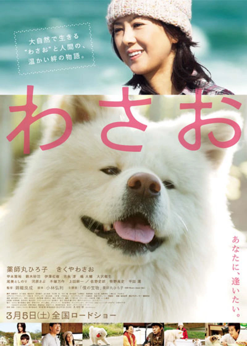 Wasao - Wasao (2011) Wasao - Wasao (2011)